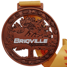 Briqville Classic medaille