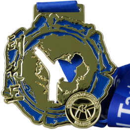 National Taekwon-Do Norway medaille