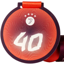 Zevenheuvelennacht medaille